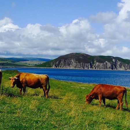 Rural Farmhouse On Kintyre, West Coast Hidden Gem Kildalloig Dış mekan fotoğraf