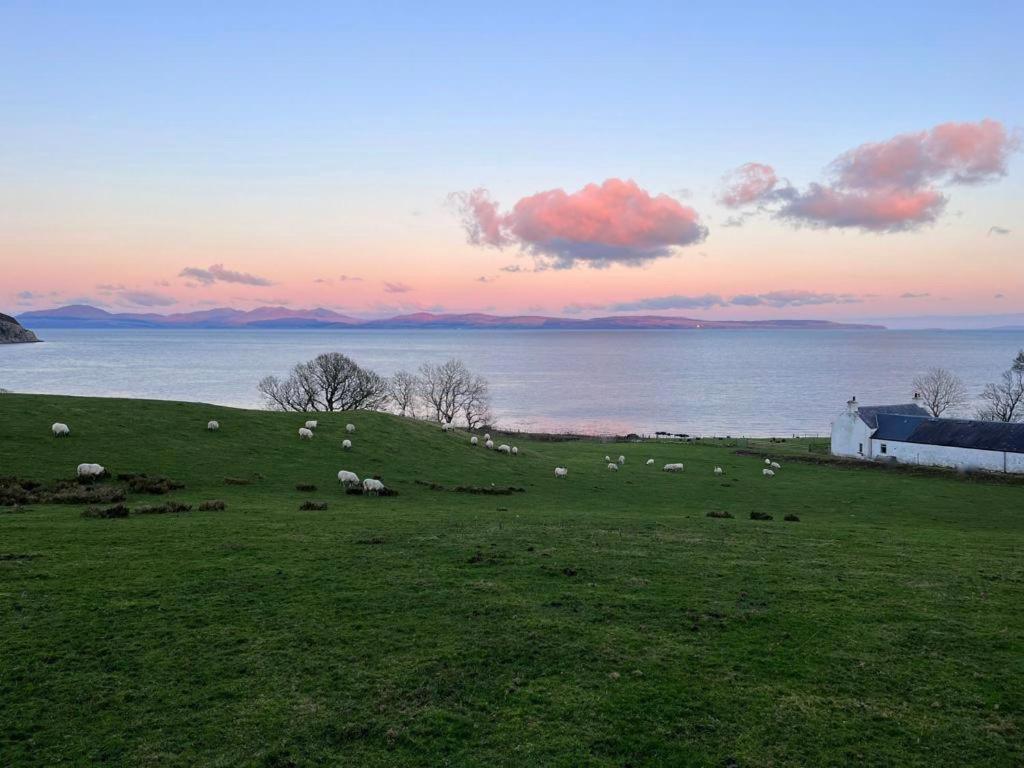 Rural Farmhouse On Kintyre, West Coast Hidden Gem Kildalloig Dış mekan fotoğraf